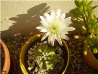 d8e5b8d6-Picture 179.jpg